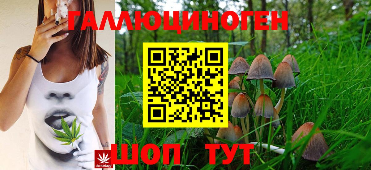 Галлюциногенные грибы Magic Shrooms  Галлюциногенные грибы GOLDEN TEACHER  Вход с VPN  Усть-Лабинск 