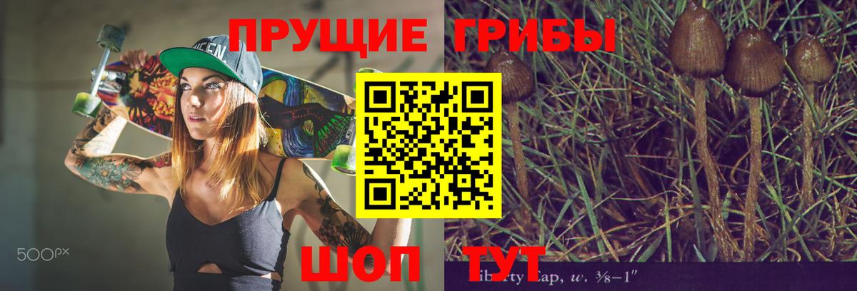 даркнет сайт  Усть-Лабинск  Галлюциногенные грибы Cubensis  Псилоцибиновые грибы Magic Shrooms 